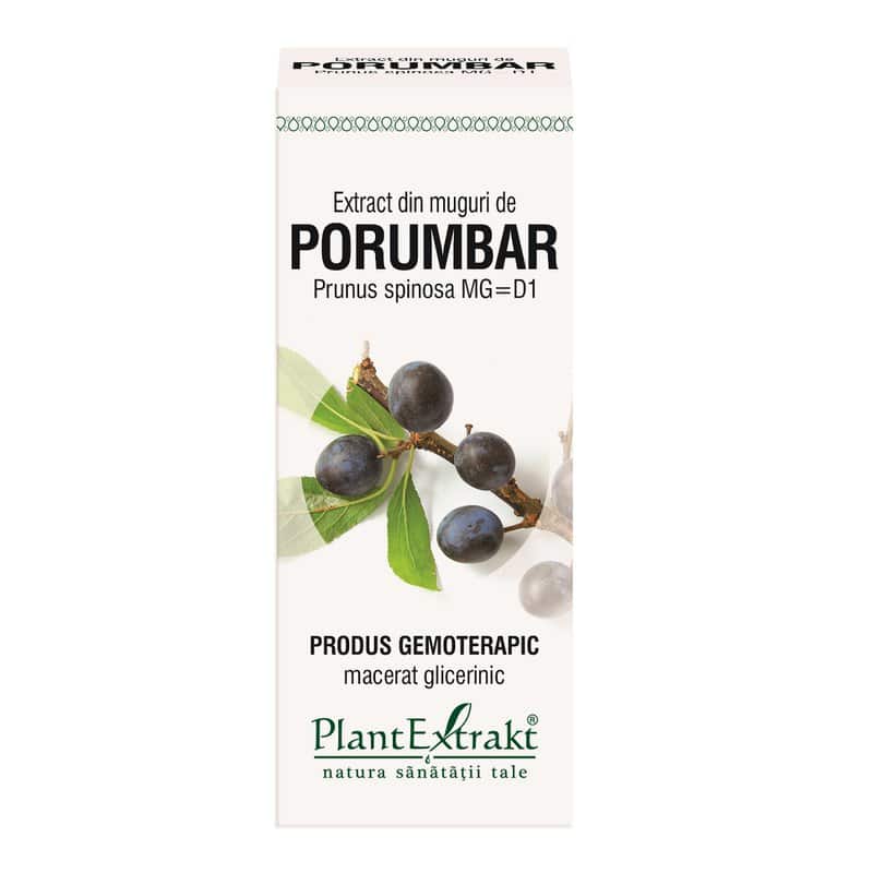 Extract din muguri de Porumbar