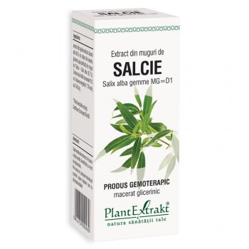 Extract din muguri de Salcie