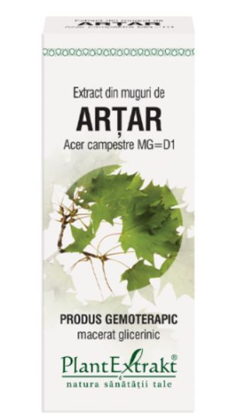 Extract din muguri de artar, 50ml, PlantExtrakt 1 Extract din muguri de artar