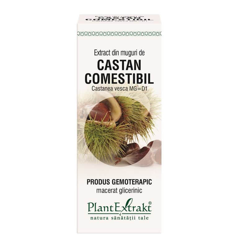 Extract din muguri de castan comestibil