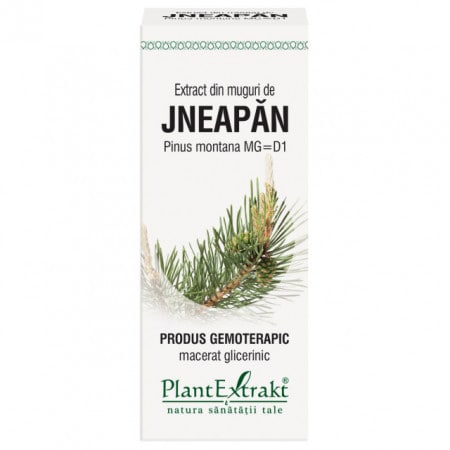 Extract din muguri de jneapan