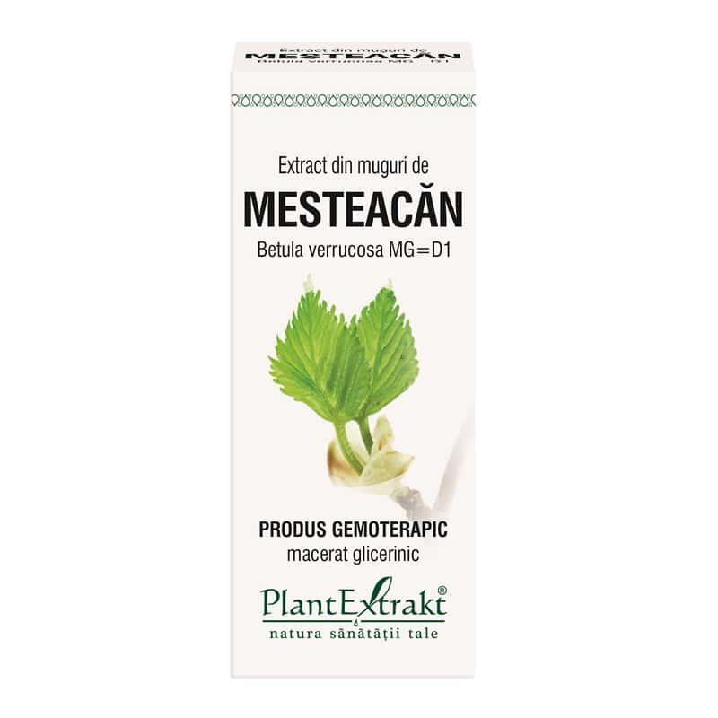 Extract din muguri de mesteacan