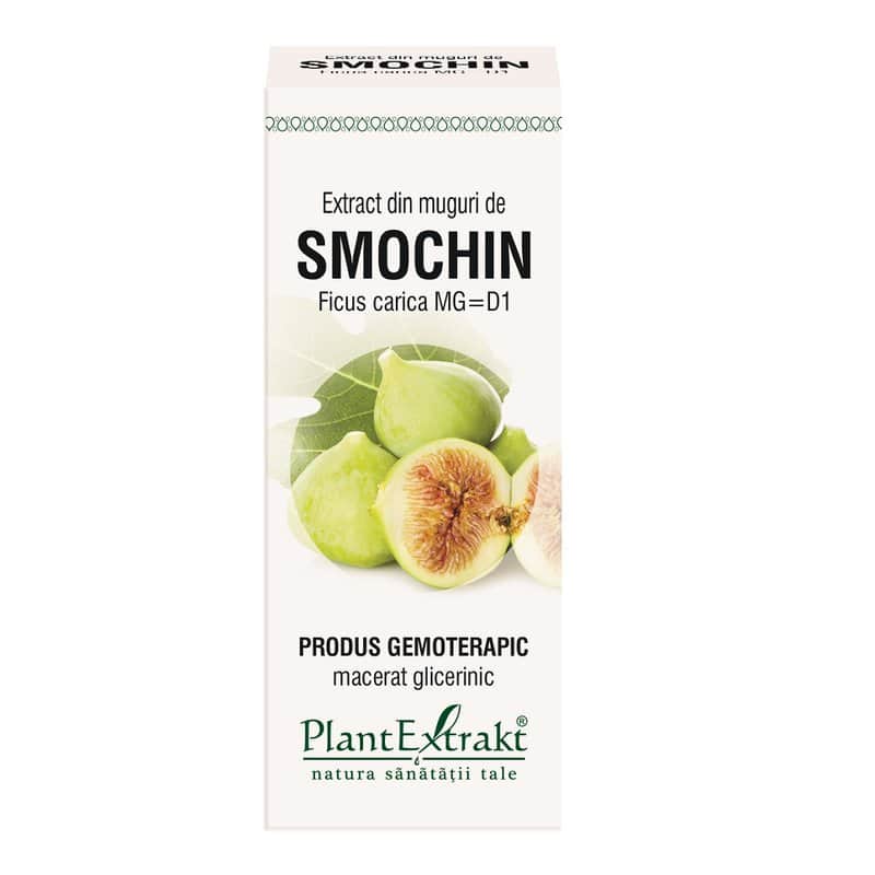 Extract din muguri de smochin