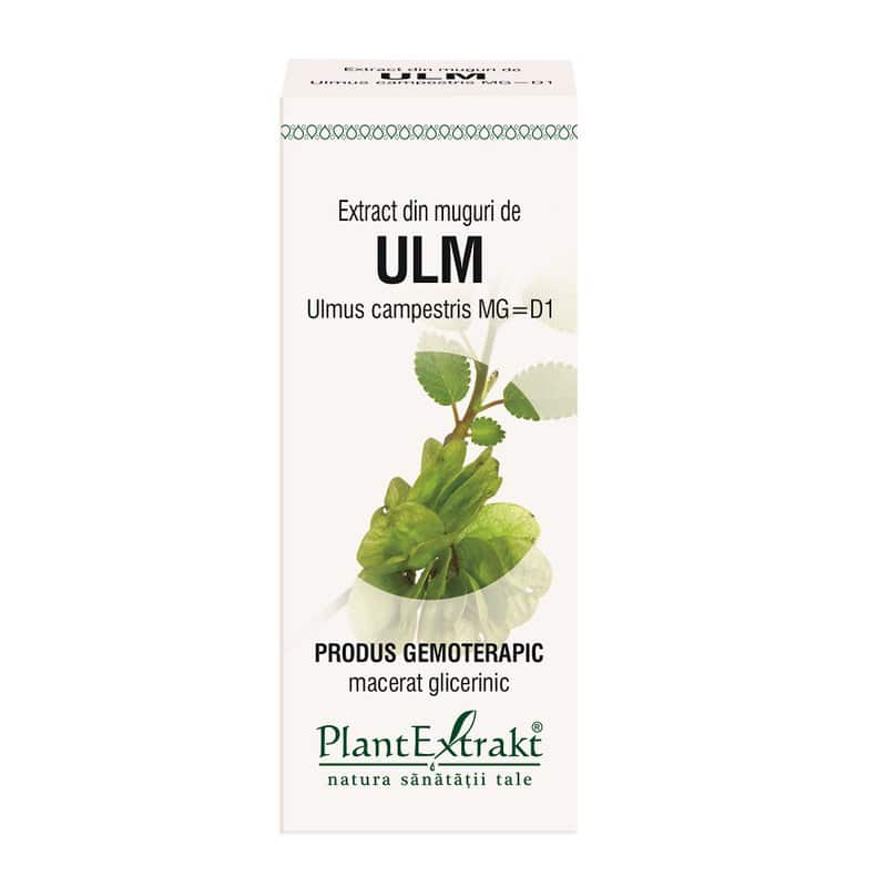Extract din muguri de ulm