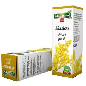 Extract gliceric de sanziene cu flori galbene