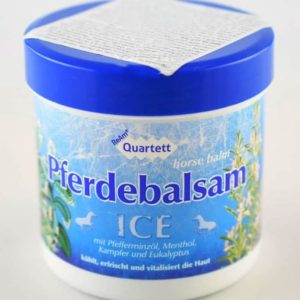 Gel puterea calului ice 250ml - QUARTETT