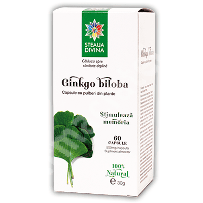 Ginkgo Biloba 500mg