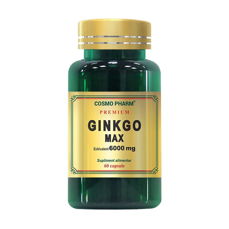 Ginkgo Max 120mg