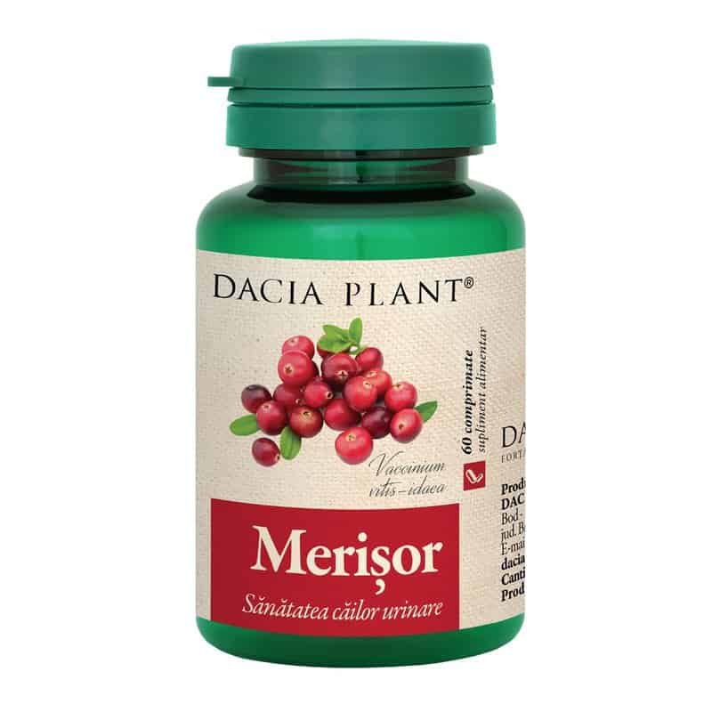 Merisor