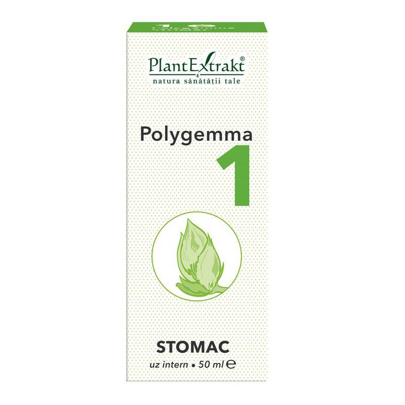 Polygemma 1 Stomac