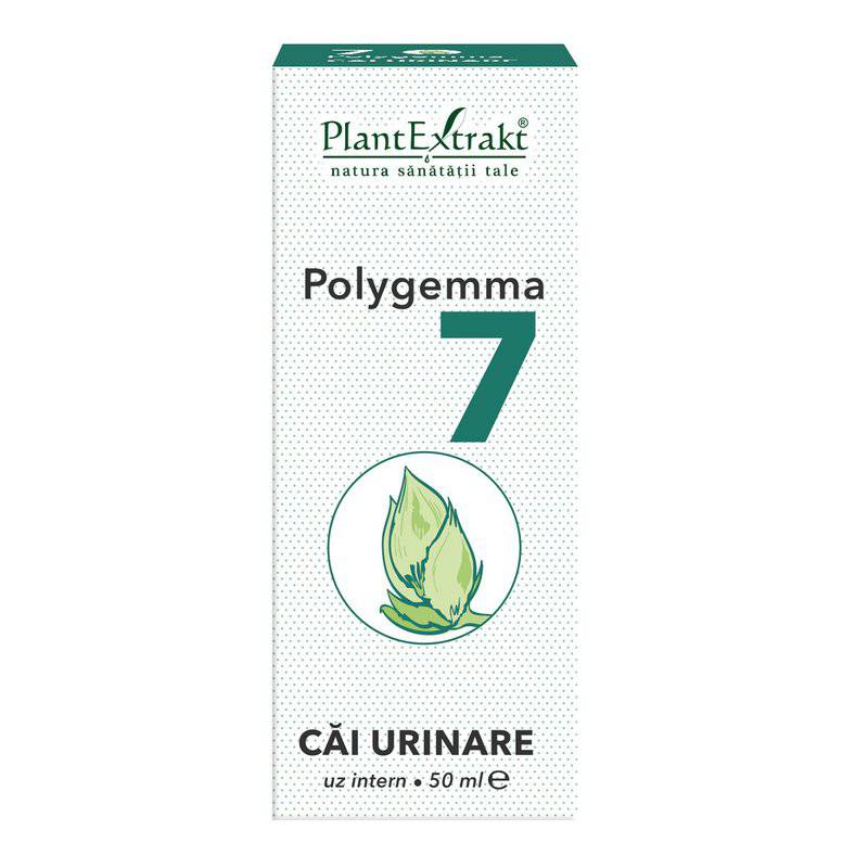 Polygemma 7 Cai urinare