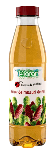 Sirop de muguri de pin