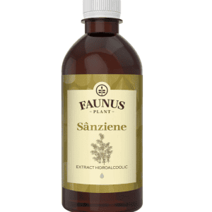 Tinctura cu sanziene