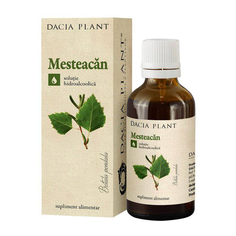 Tinctura de mesteacan