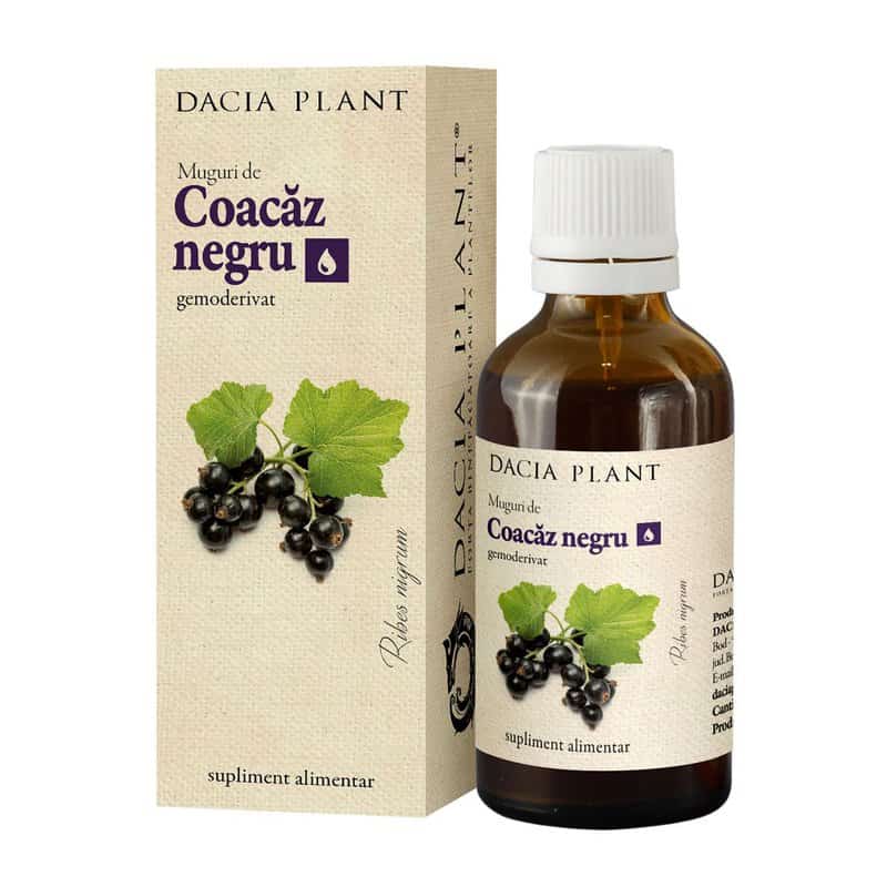 Tincuta din muguri de coacaz negru