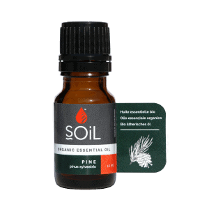 Ulei Esential Pin (Pinus sylvestris) 100% Organic Ecocert