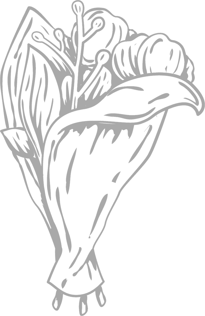 dct-et-illus-img-6