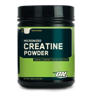 ON Creatine Powder 317g