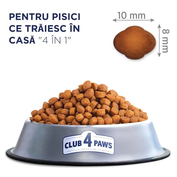 CLUB 4 PAWS Premium Indoor, Pui, hrană uscată pisici, 2kg - imagine 6