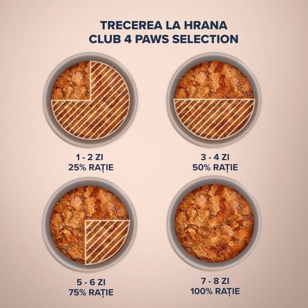 plic hrană umedă pisici