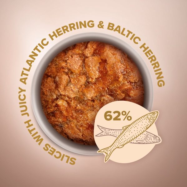 (în aspic)