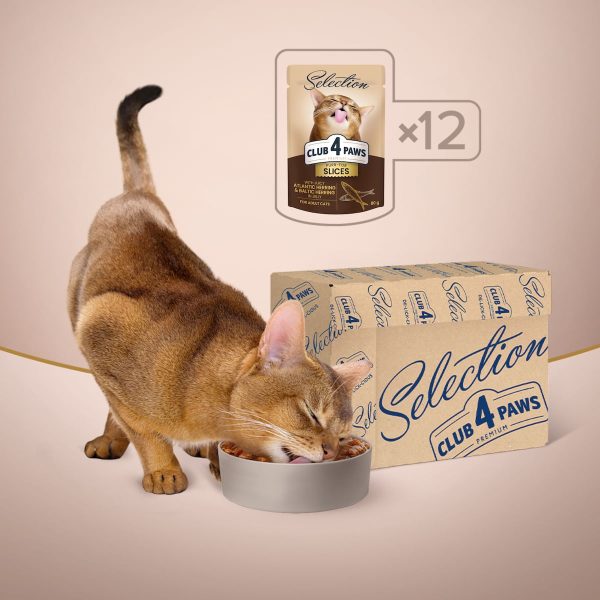 CLUB 4 PAWS Premium Plus Selection, Hering, plic hrană umedă pisici, (în aspic), 80g - imagine 6