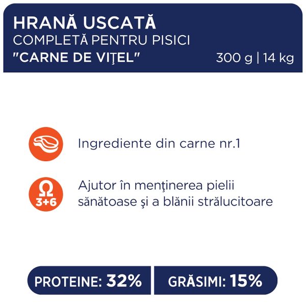 Vită