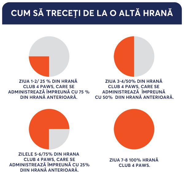 hrană uscată pisici