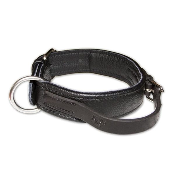 JULIUS-K9 ECO leather