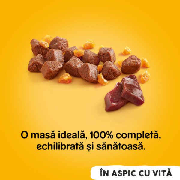 conservă hrană umedă câini