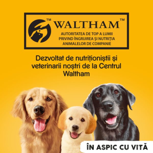 PEDIGREE, XS-XL, Vită și Pasăre, conservă hrană umedă câini, (în aspic), 1.2kg - imagine 8