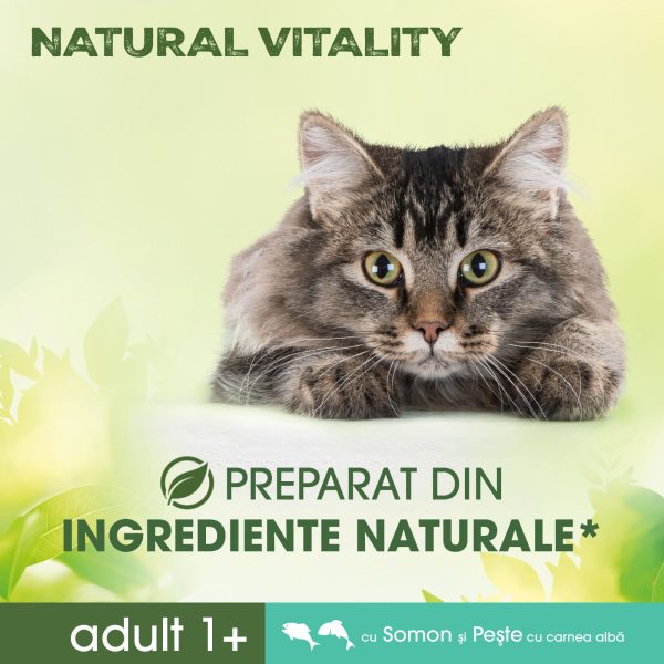 PERFECT FIT Natural Vitality, Somon și Pește alb, hrană uscată pisici, 650g - imagine 6