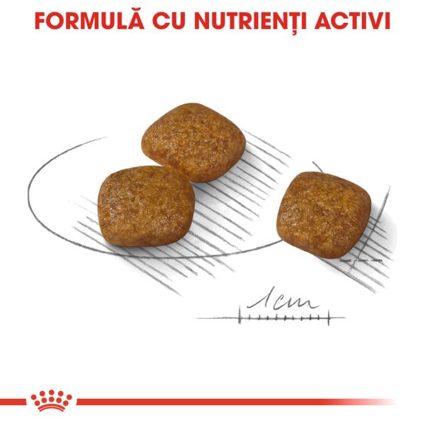 ROYAL CANIN Mini Urinary Care, hrană uscată câini, sănătatea tractului urinar, 8kg - imagine 6
