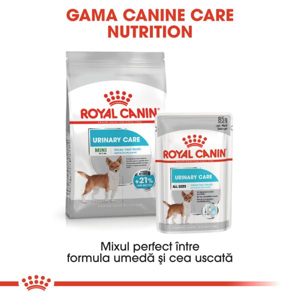 ROYAL CANIN Mini Urinary Care, hrană uscată câini, sănătatea tractului urinar, 8kg - imagine 9