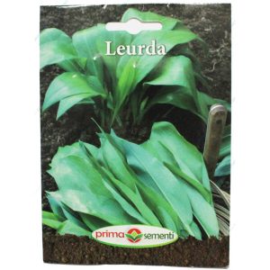 Seminte Leurda