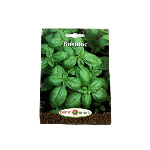 Seminte busuioc verde 3 gr