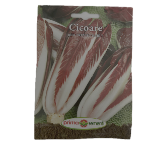 Seminte cicoare Red Treviso Early 5 gr