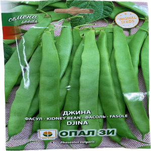 Seminte fasole Djina 40 gr