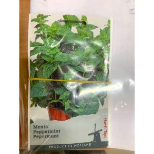 Seminte menta