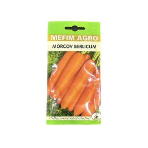 Seminte morcov Berlicum 4 gr