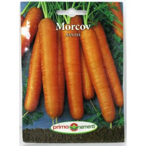 Seminte morcov Nantes 5 gr