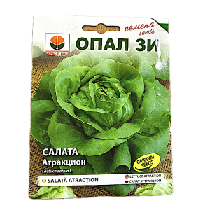 Seminte salata Atraction 2 gr