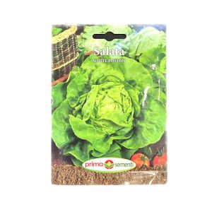 Seminte salata White Boston 3 gr
