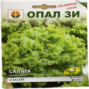 Seminte salata creata 2 gr