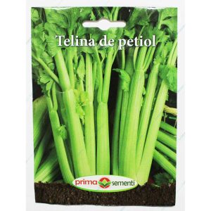Seminte telina