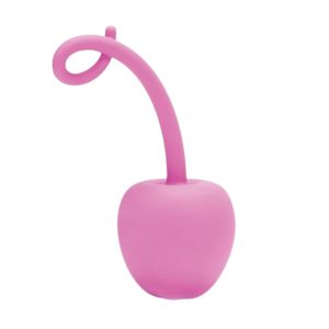 Jucărie erotică TOYZ4LOVERS My Secret Cherry Pink