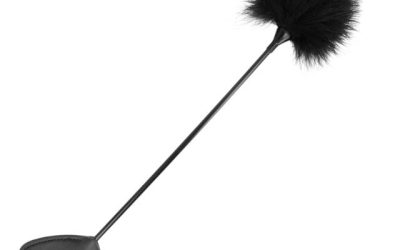 Home v2 12 Paleta KINK – TICKLE HEART pentru Jocuri Erotice BDSM