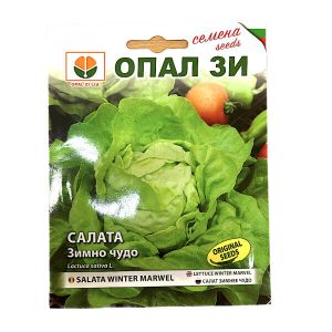 Seminte salata Minune de Iarna/Winter Marvel 2 gr