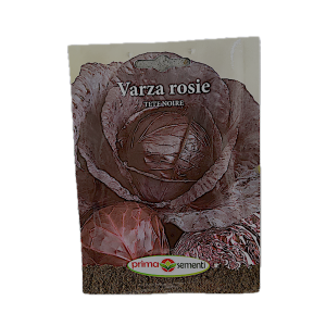 Seminte varza rosie Tete Noire 5 gr